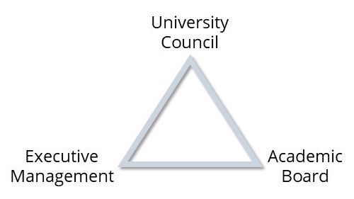 The University Governance Triangle includes the University Council, Academic Board and Executive Management, each at the point of a triangle.