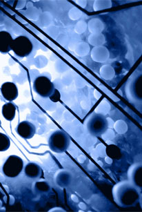 Biomedical Engineering