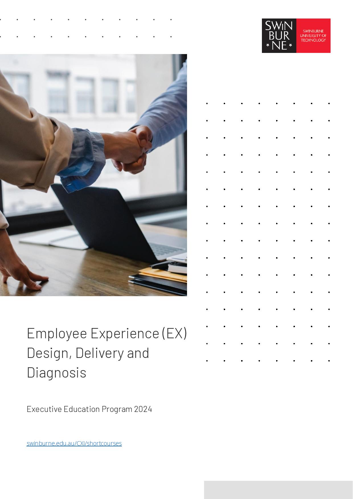 Employee Experience (EX) Design, Delivery and Diagnosis