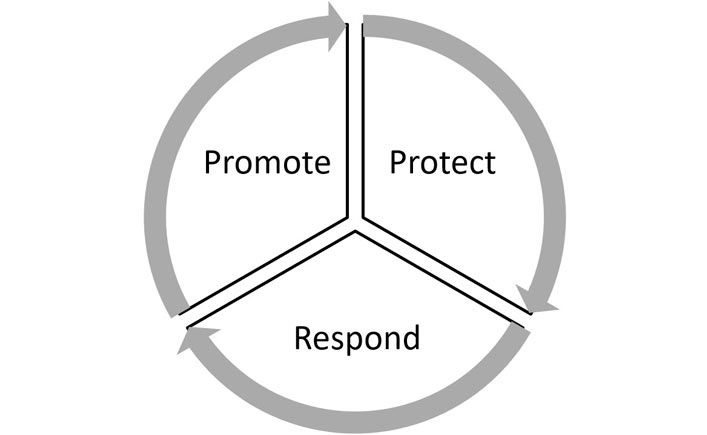 Circle broken into 3 sections with the words Promote, Protect and Respond occupying each section. Grey arrows point in a clockwise direction around the circle.