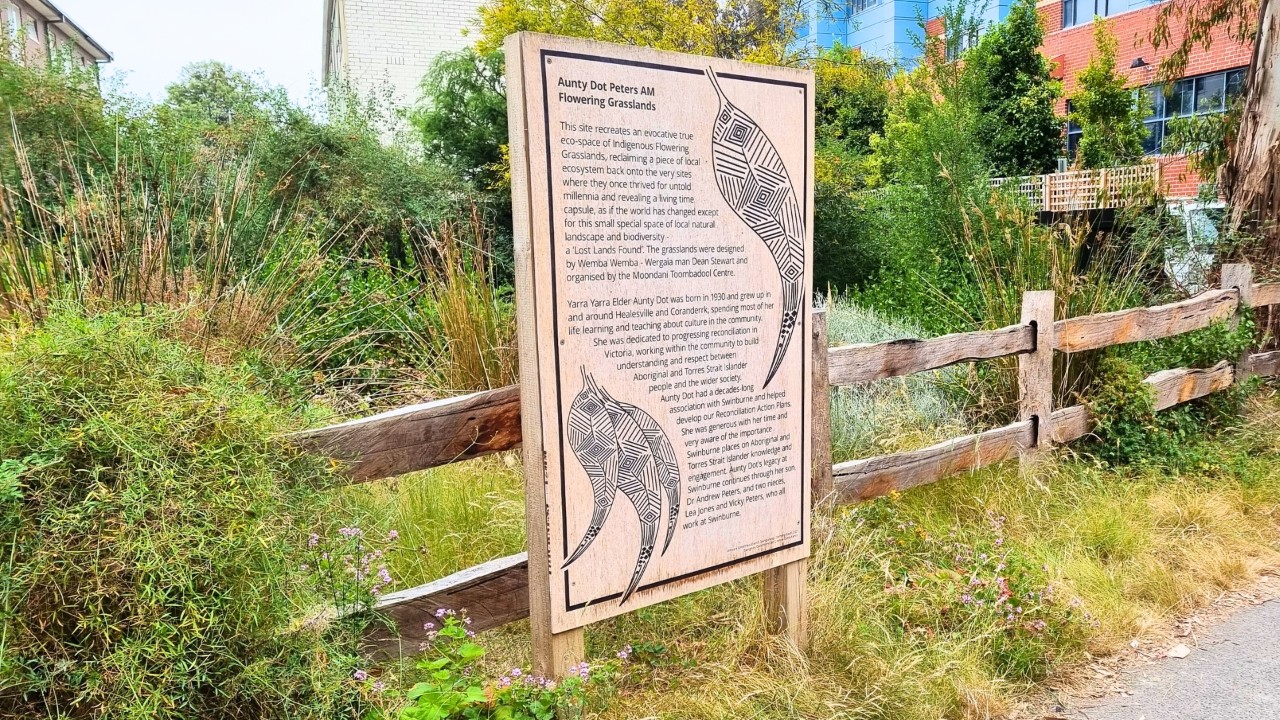 The Aunty Dot Peters AM Flowering Grasslands signage on Hawthorn campus