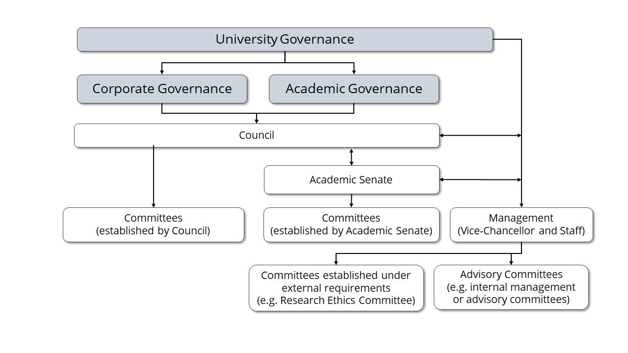 University-Governance-Structure.jpg