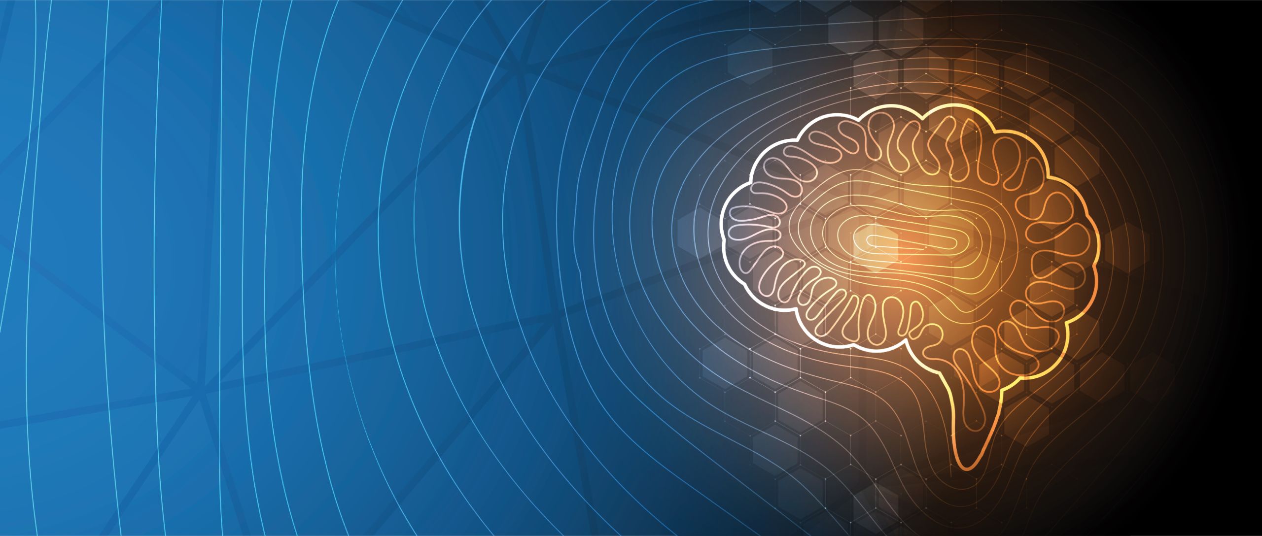Meet your teachers and peers, get key course information and have your questions answered before classes begin. This induction will help you understand what to expect and start your Undergraduate Forensic Psychological Science course with confidence.