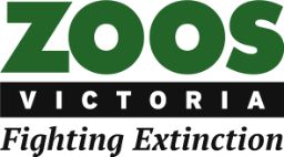 Green, white and black logo