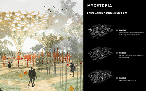 Mycetopia, a remediation of a contaminated site 