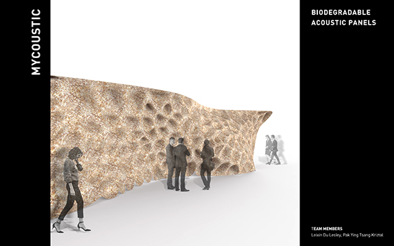 biodegradable mycelium acoustic panels by Leixin Du Lesley and Pak Ying Tsang Kriztal
