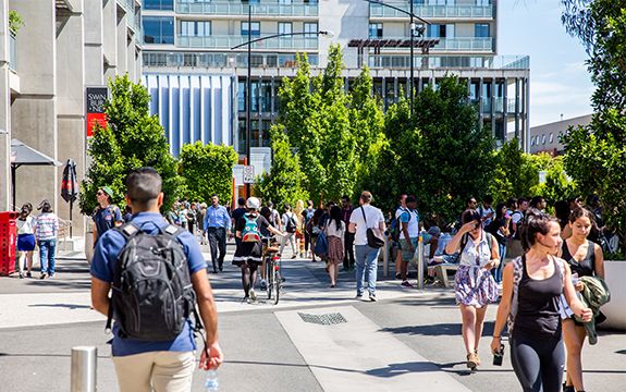 Swinburne climbs in Times Higher Education World University Rankings by Subject 2024
