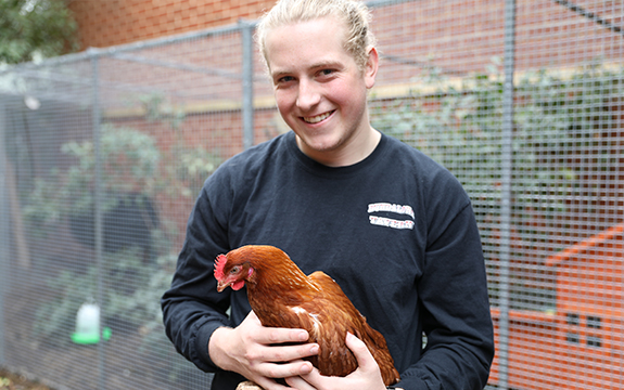 Student Oscar Wyrzykowski with one of Swinburne Student Residences' pet chickens.