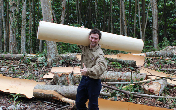 Swinburne PhD student Nathan Kotlarewski holding a balsa tree in PNG. 