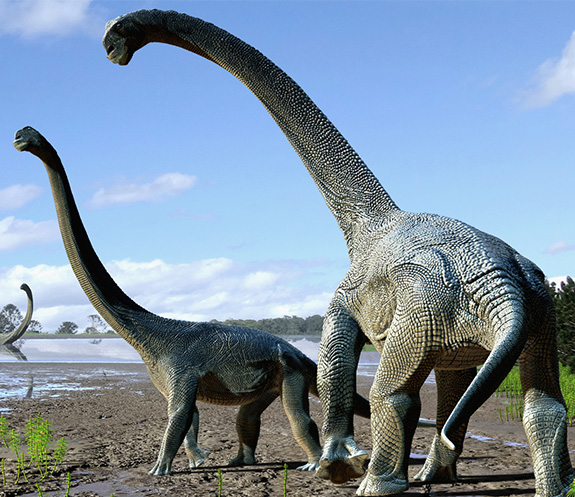 Savannasaurus elliottorum rendering. Image credit: Travis R. Tischler and are © Australian Age of Dinosaurs Museum of Natural History.