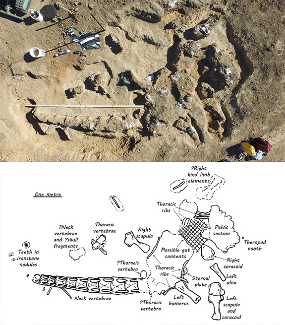 Site diagram and photo of sauropod dig site in Queensland. 