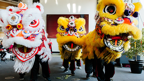 3 traditional Lunar New Year lion costumes, operated by 6 people, perform a dance
