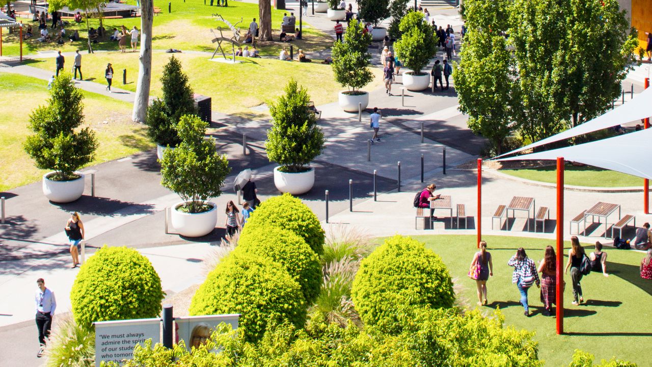 Diploma Of Early Childhood Education And Care Swinburne