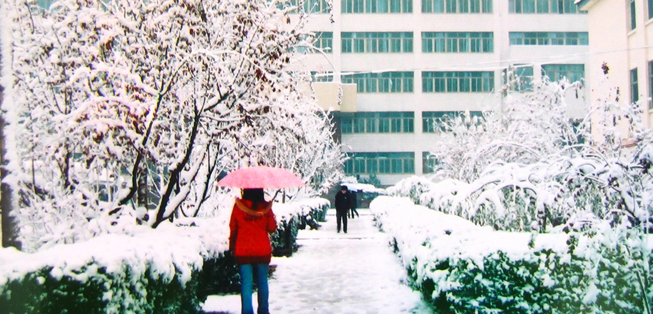 Students walking in the snow at Shandong University of Science and Technology campus