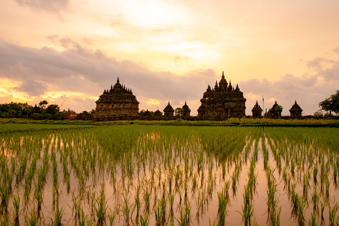Shaping Futures: Climate Change in Indonesia | Swinburne
