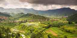 Rice fields in Nepal