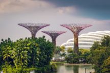 Image of Gardens by the bay in Singapore