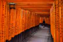 Woman walking through Fushimi Inari Shrine