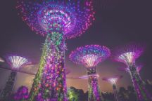 Image of the lit up Gardens by the Bay Singapore at night