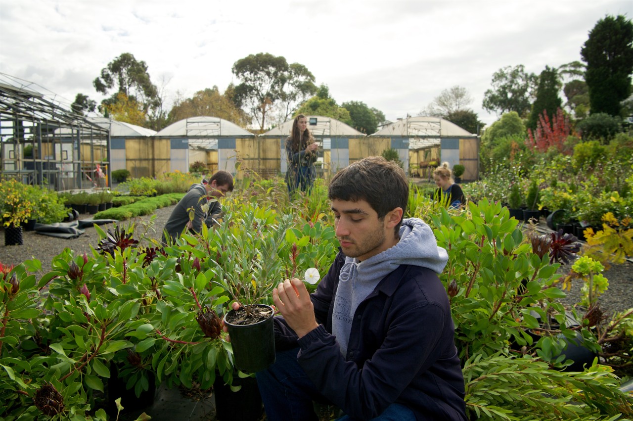 Young man holds a pot and examines a flower in a horticulture setting