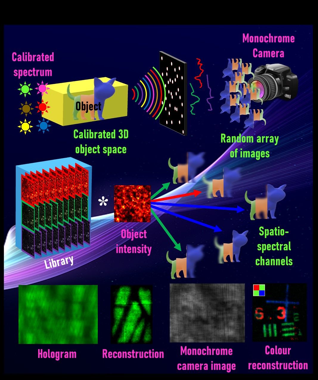 A computer-generated graphic featuring dog cartoons, colourful boxes and more