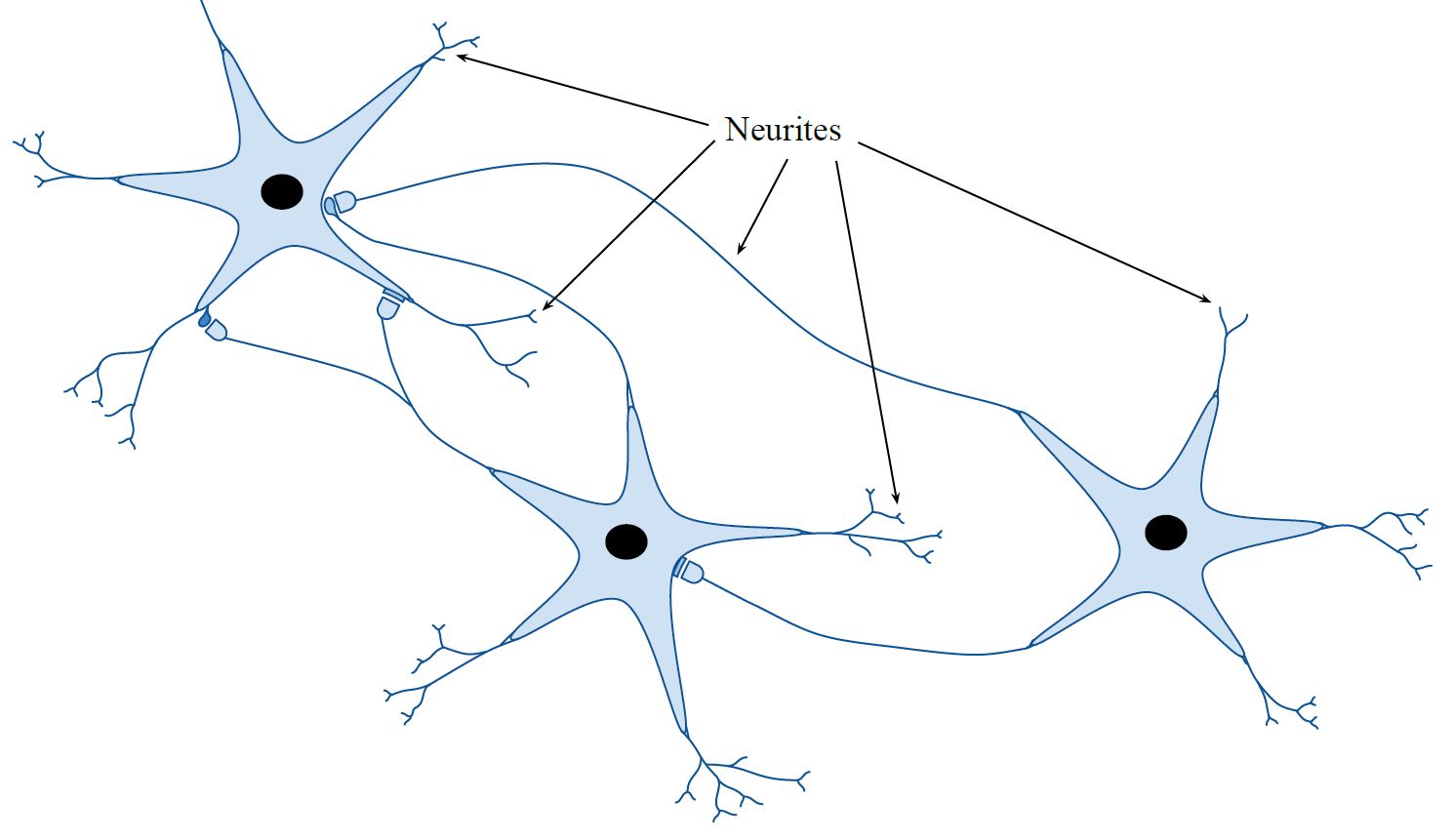 A drawn diagram of scientific research featuring blue star-like figures connected by lines