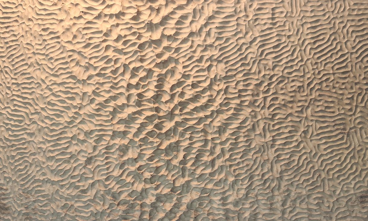 Geopolymer algorithmically CMC milled textured panel for light variation, a wavy and highly-textured cream coloured surface. 