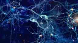 Neuron system
