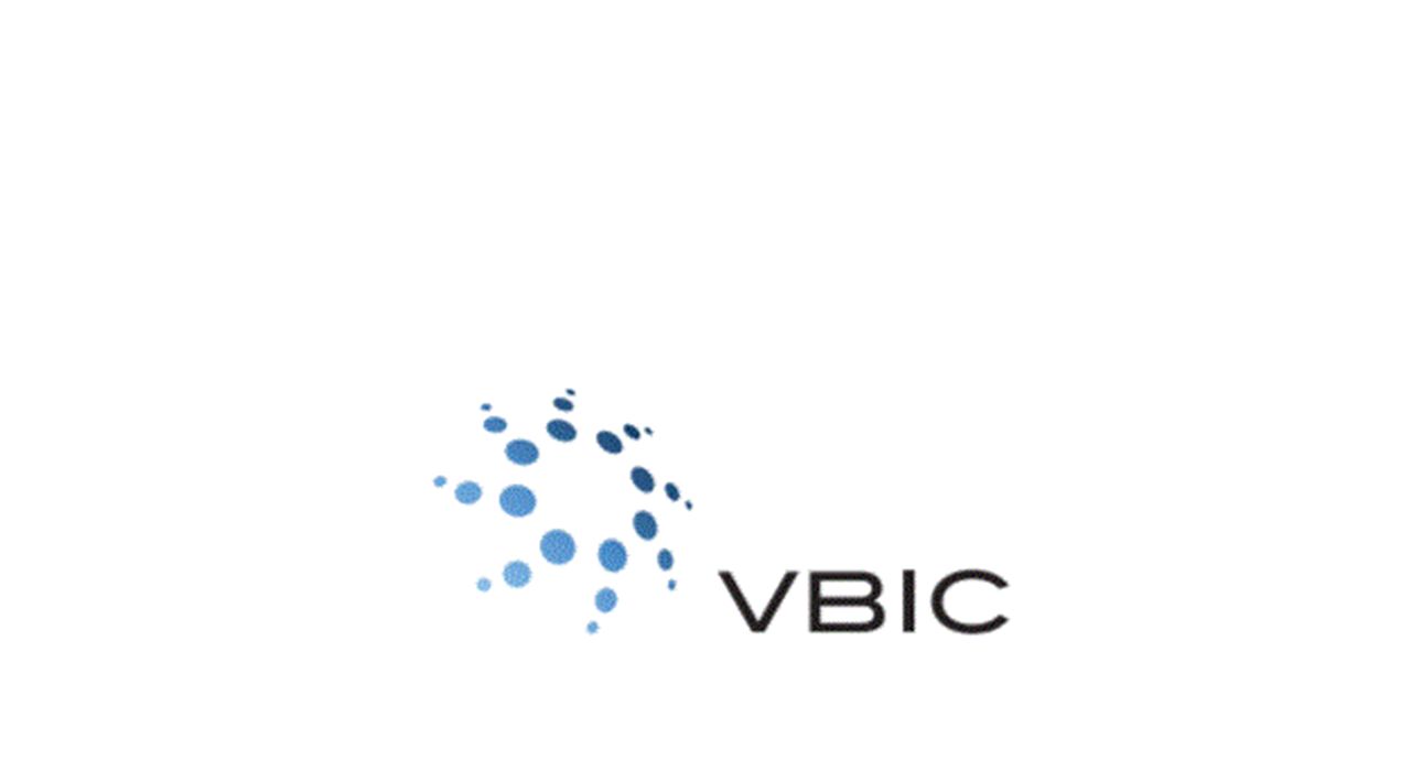 VBIC