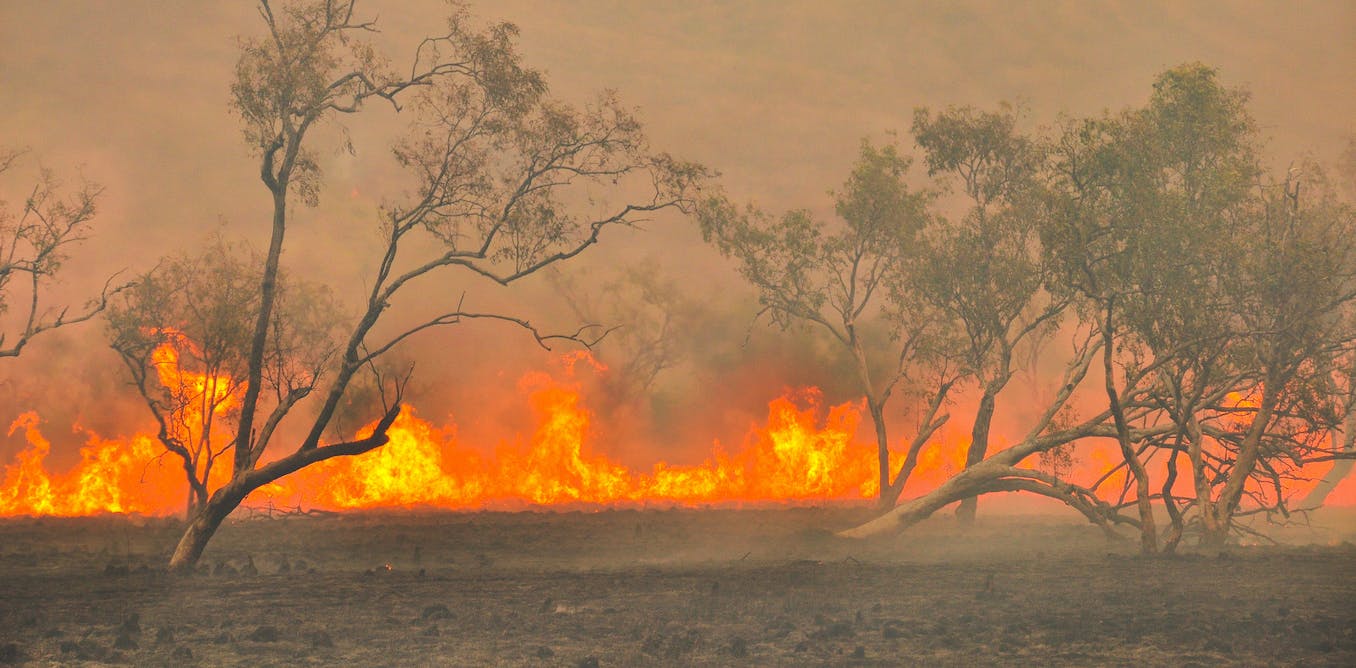 Fires in Australian bush land, with trees and grass ablaze.
