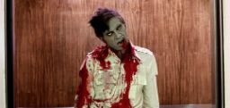Zombie from Dawn of the Dead is pictured from the waist up with a green face, blood all over their shirt and a nasty stare. 