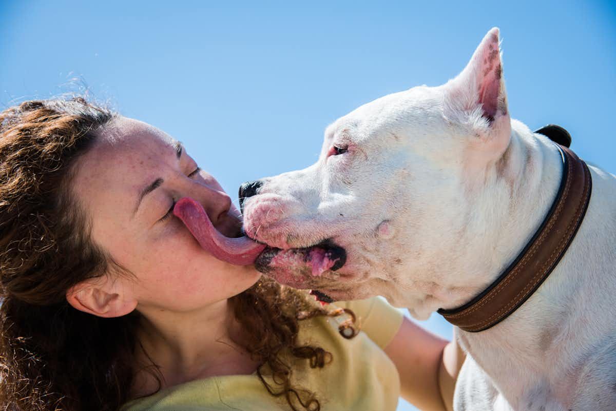 Pet owner kissing their dog