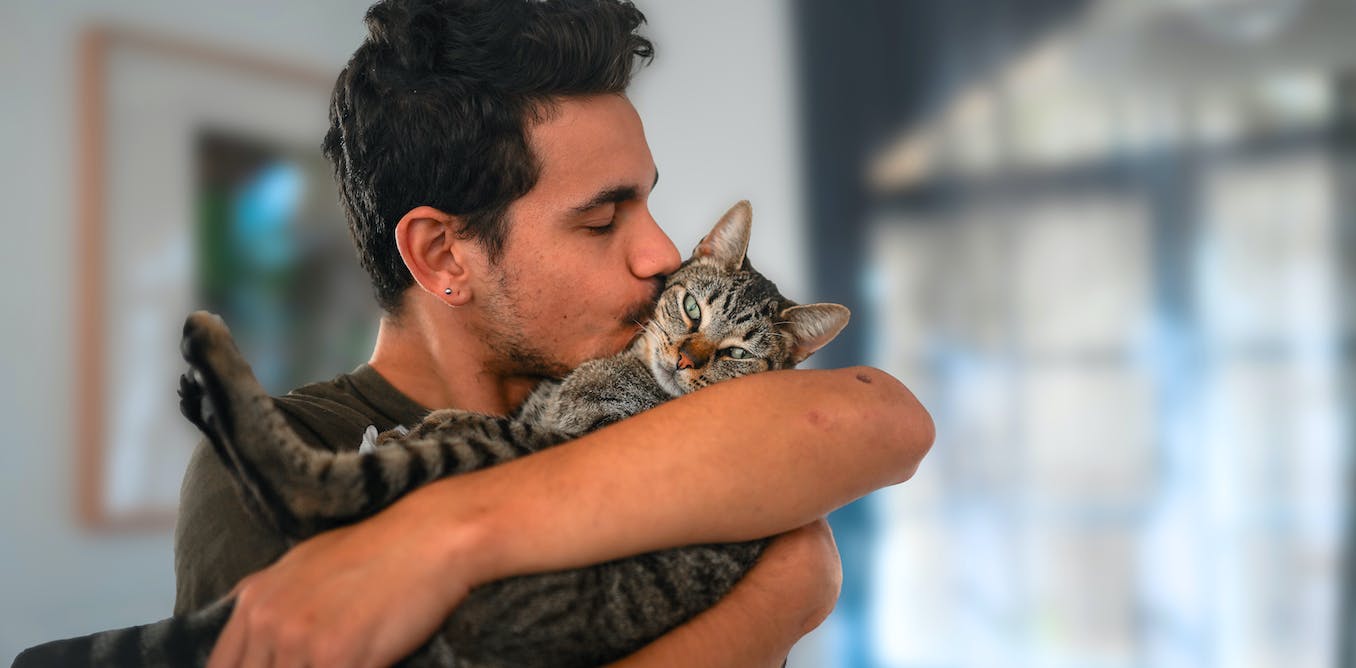 Pet owner kissing their cat