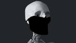 A white skeleton is wearing a fitted facemask