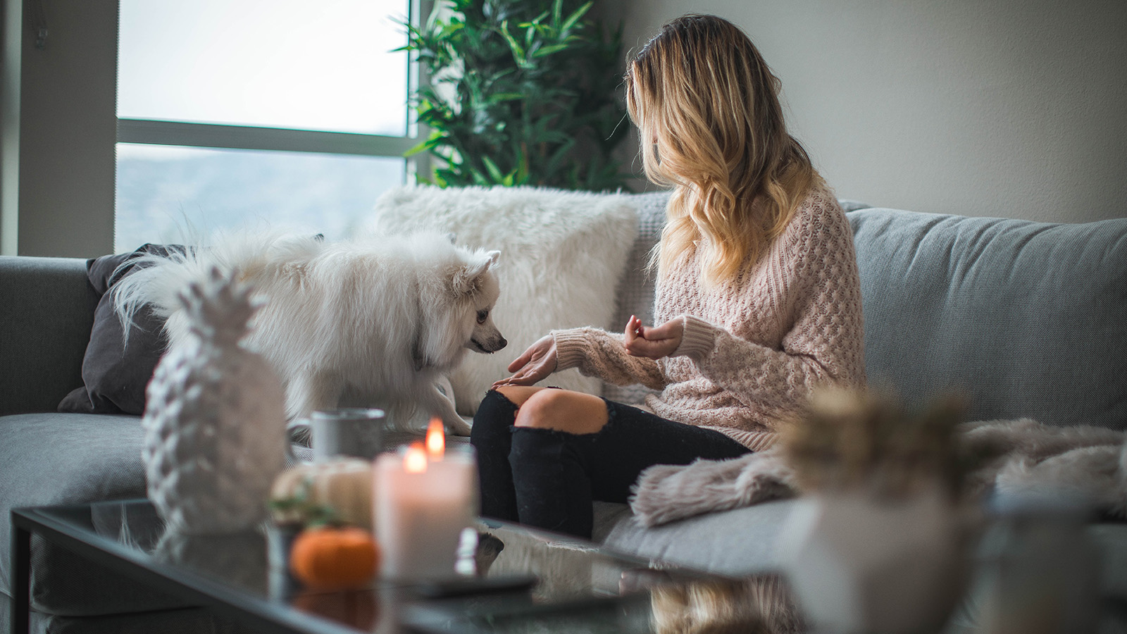woman sitting on a couch with small white fluffy dog