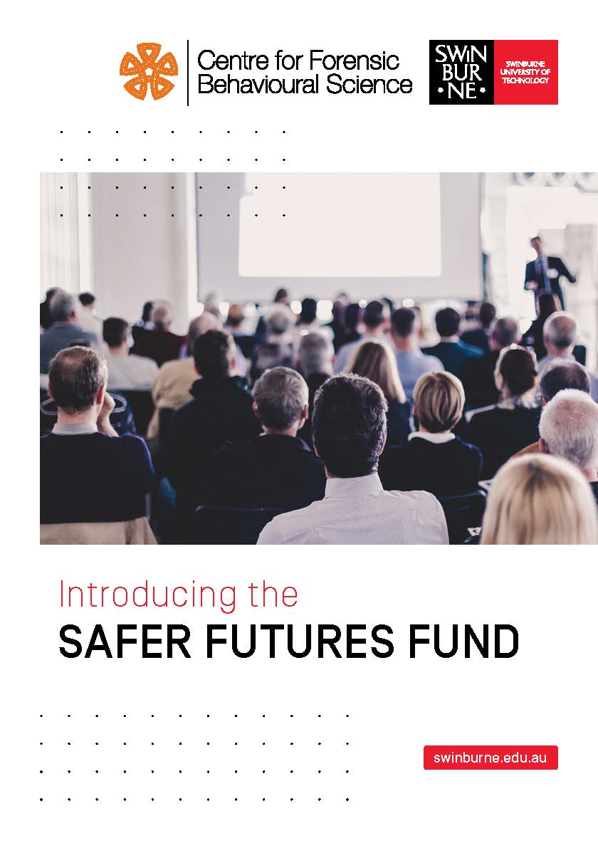 Find out more about the Safer Futures Fund