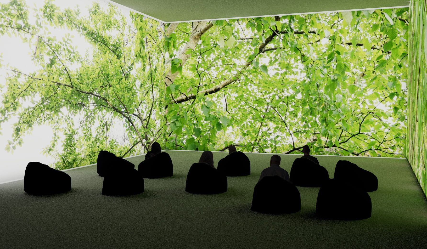 A room with screens for walls shows images of tree branches  while people sit on beanbags to watch 