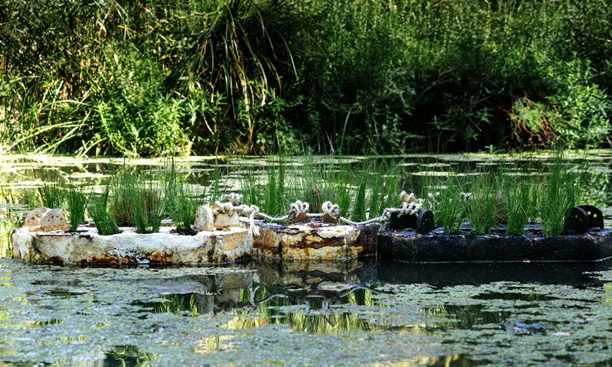 A lush wetland featuring floats made from mushroom-based biomaterials