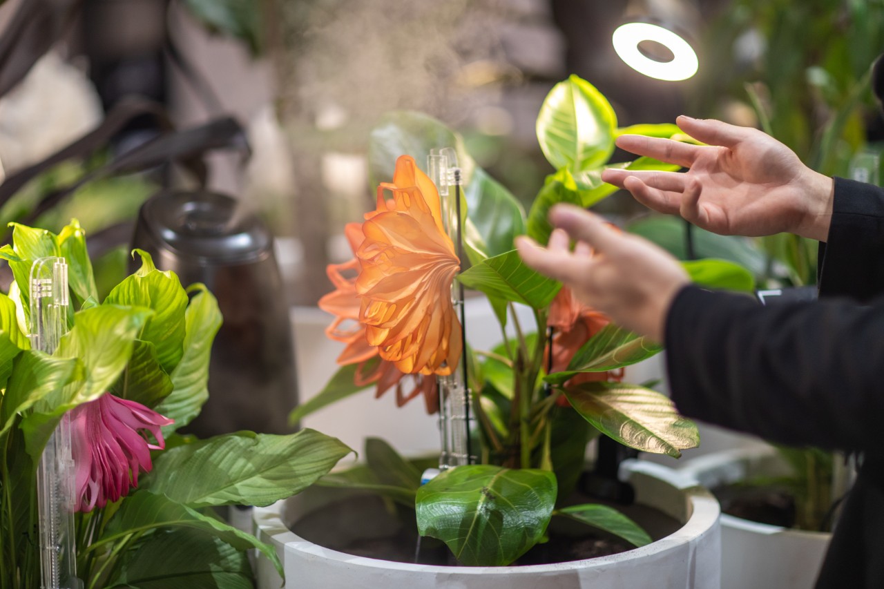 Hands gesture in front of a bionic plant with delicate orange petals 