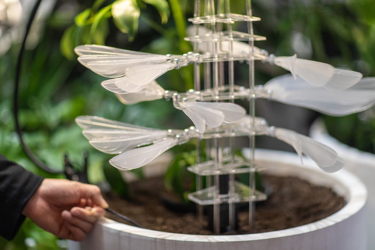 Several sets of white wings, like dragonfly wings, spin around as a bionic plant