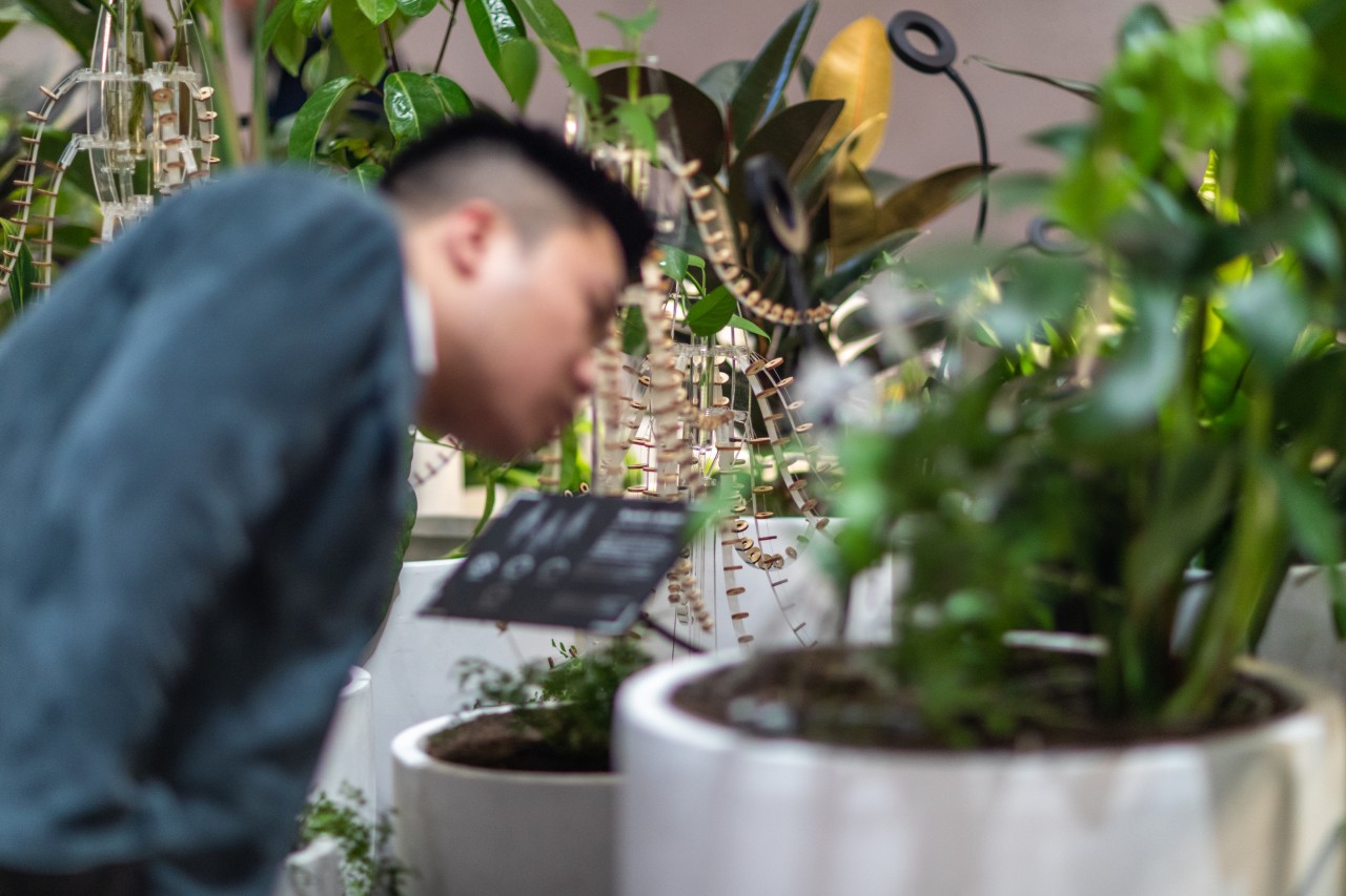 Someone bends to inspect a plant in the foreground, while a bionic plant with tentacles is in focus in the background 