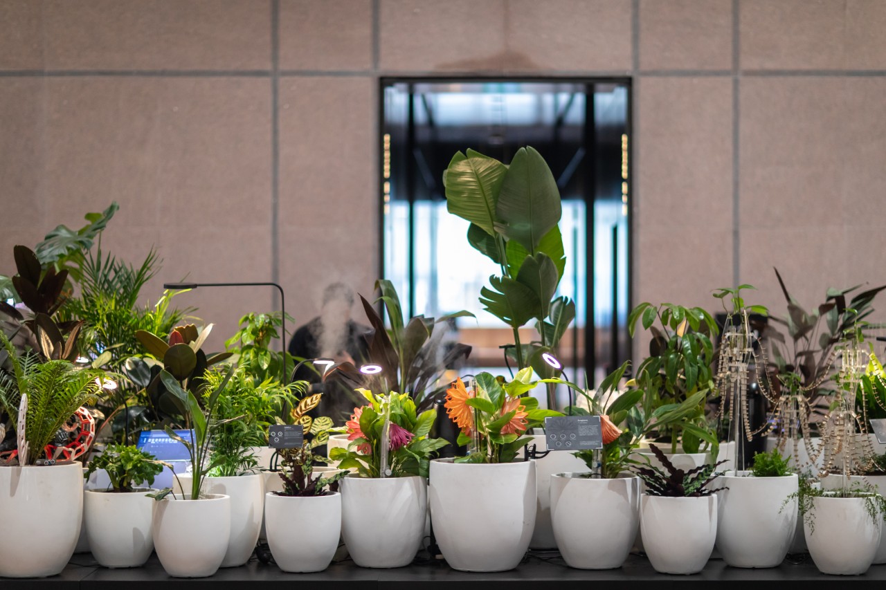 A series of white pots of varying sizes sit on a platform, filled with a mixture of real plants and bionic ones