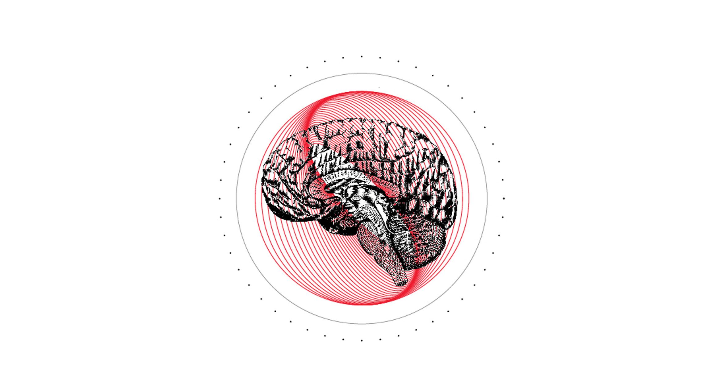 Side view of a human brain with red circles and lines over and around it.