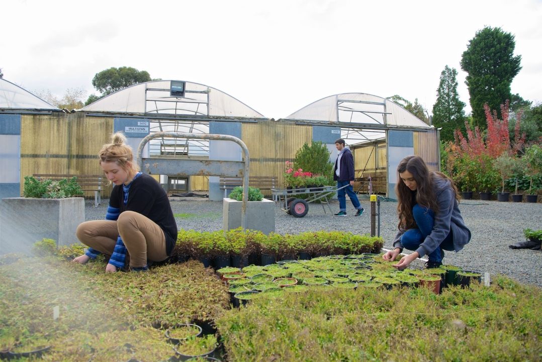 Horticulture Landscape Courses In, Gardening And Landscaping Courses