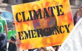 climate emergency placard from Melbourne protest