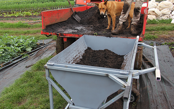 NuTan being filled with organic supplement