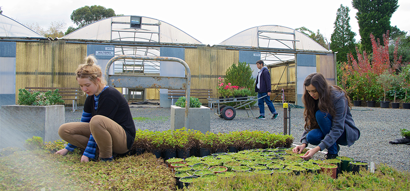 Horticulture And Landscape Find A Course Swinburne University